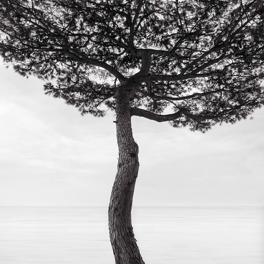 Black and White Fine Art Photography by Jonathan Chritchley